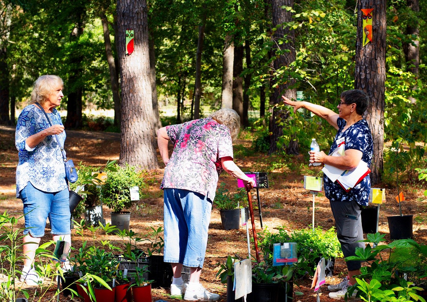 Lin Grado doled out advice during the autumn plant sale at the Wood County Arboretum and Botanical Gardens.